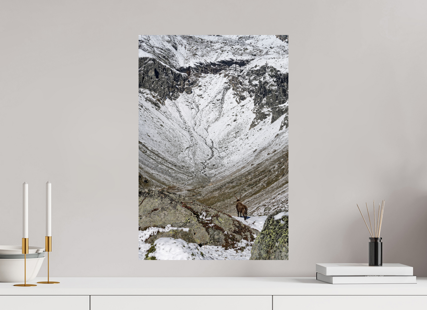 Bouquetin / Ibex