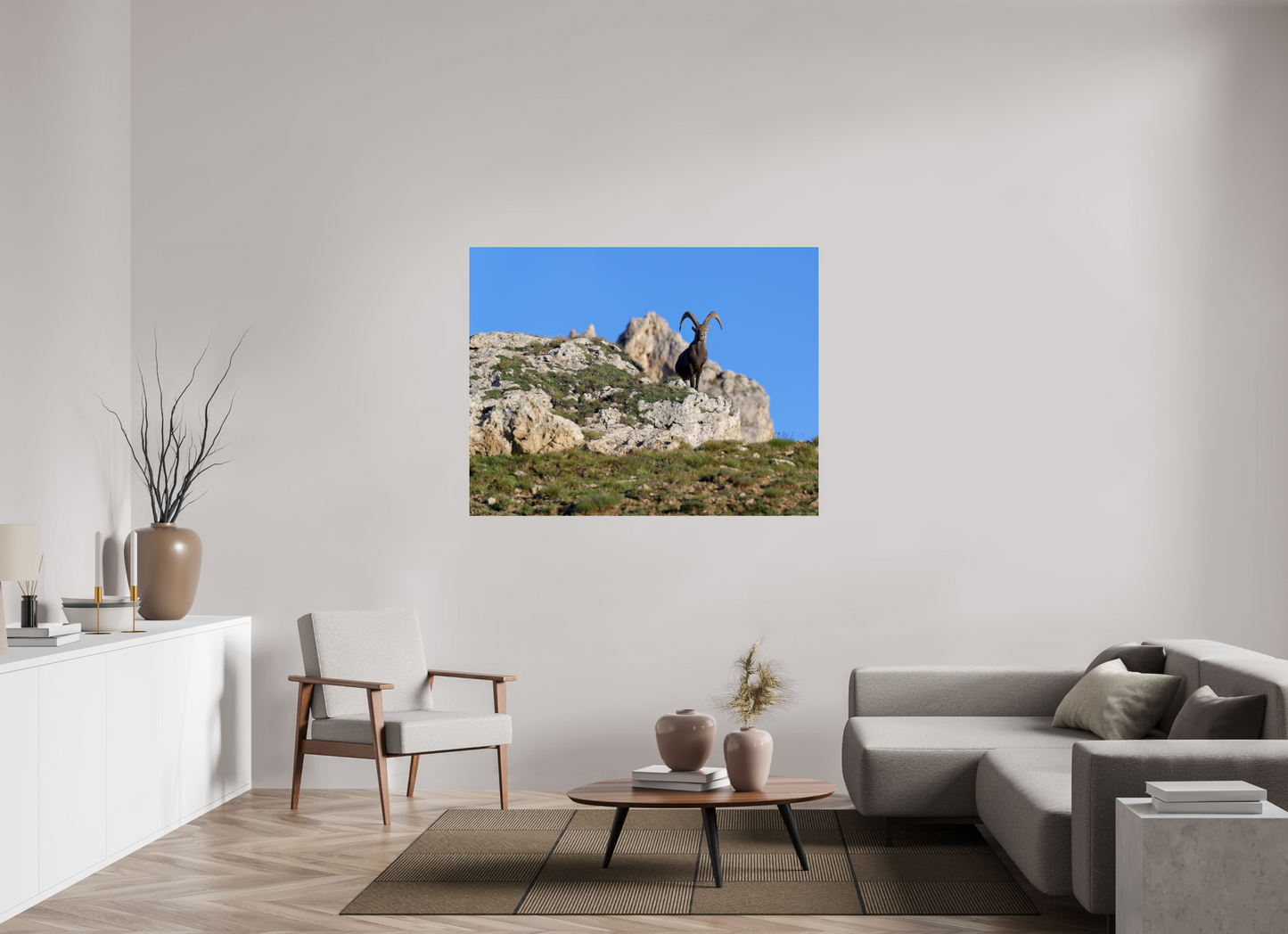 Bouquetin / Ibex