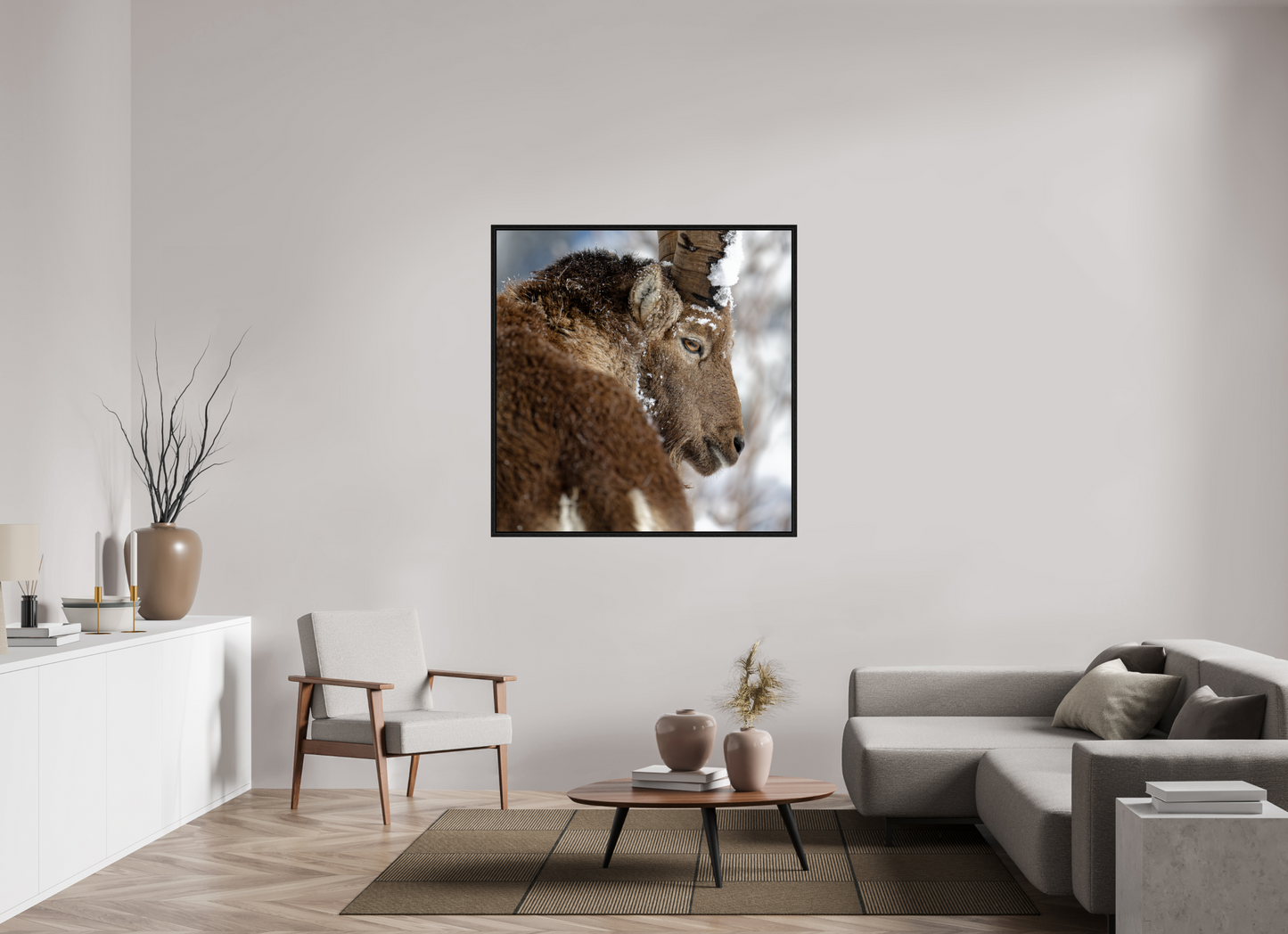 Bouquetin / Ibex