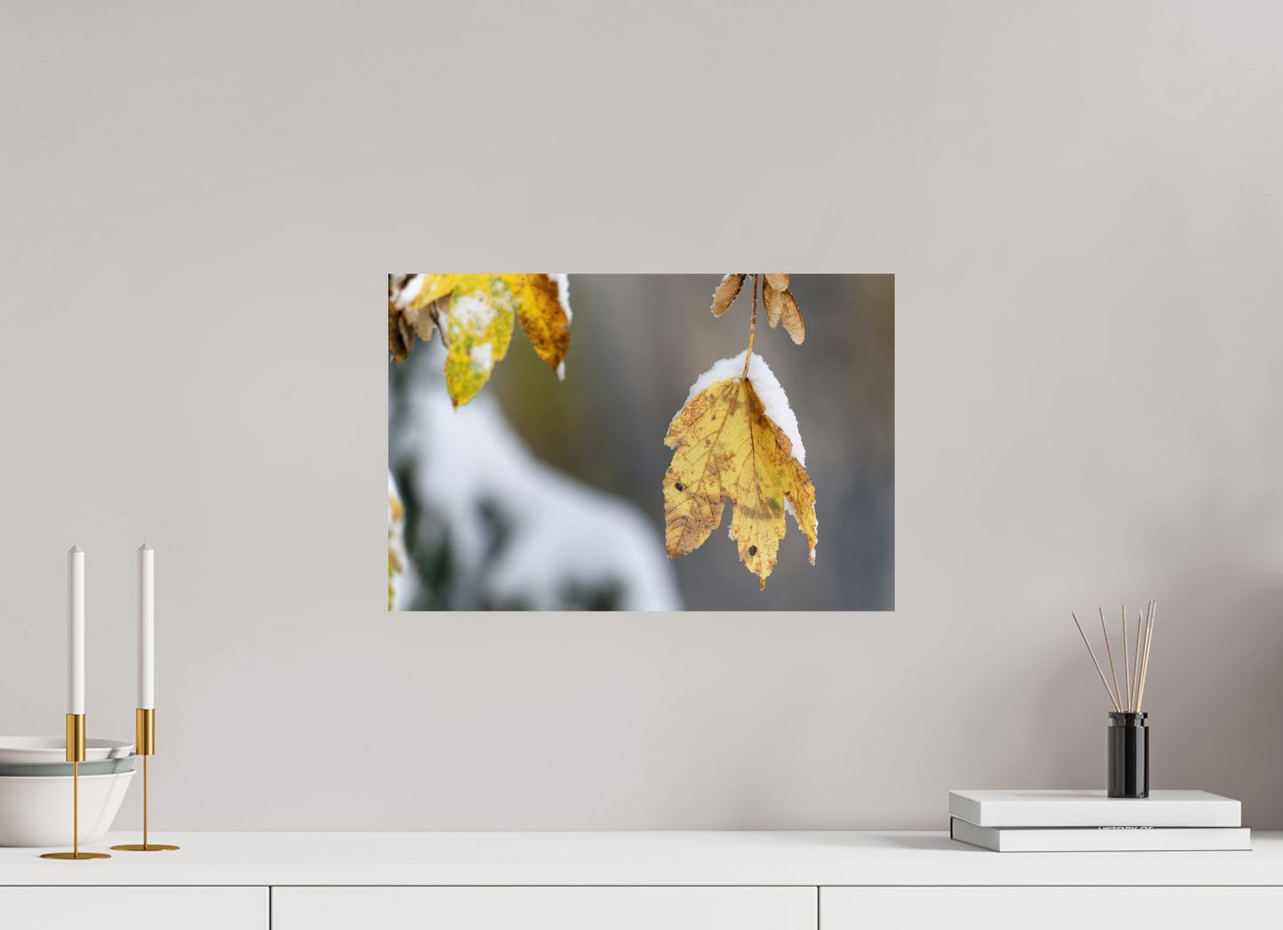 Automne / Autumn