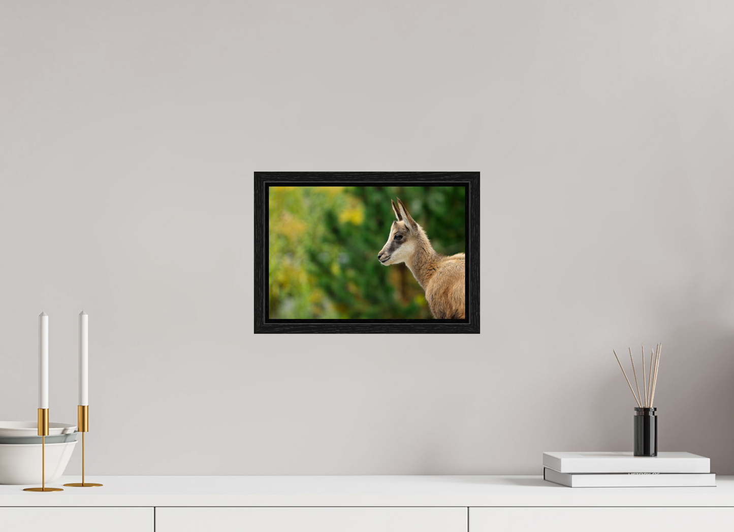 Chamois