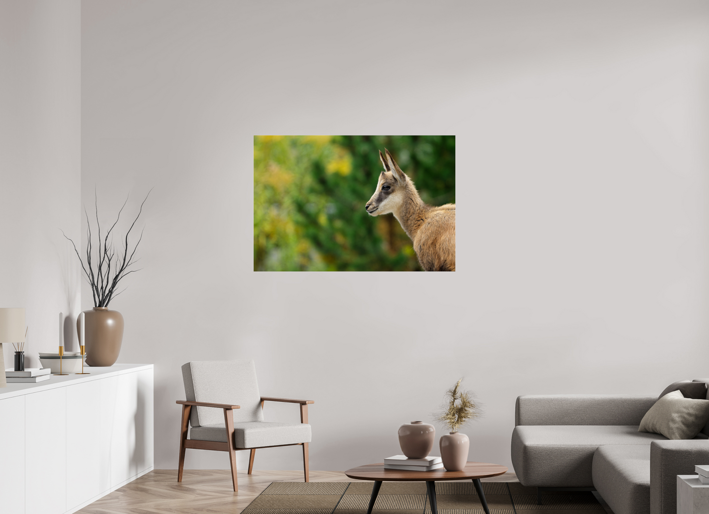 Chamois