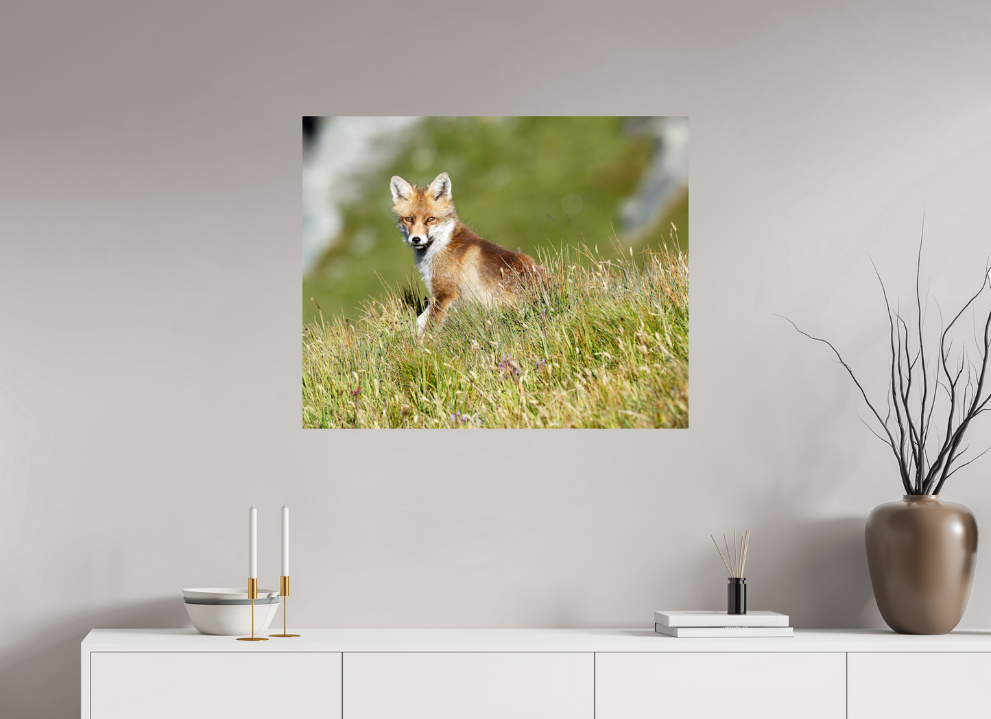 Autres animaux / Other animals