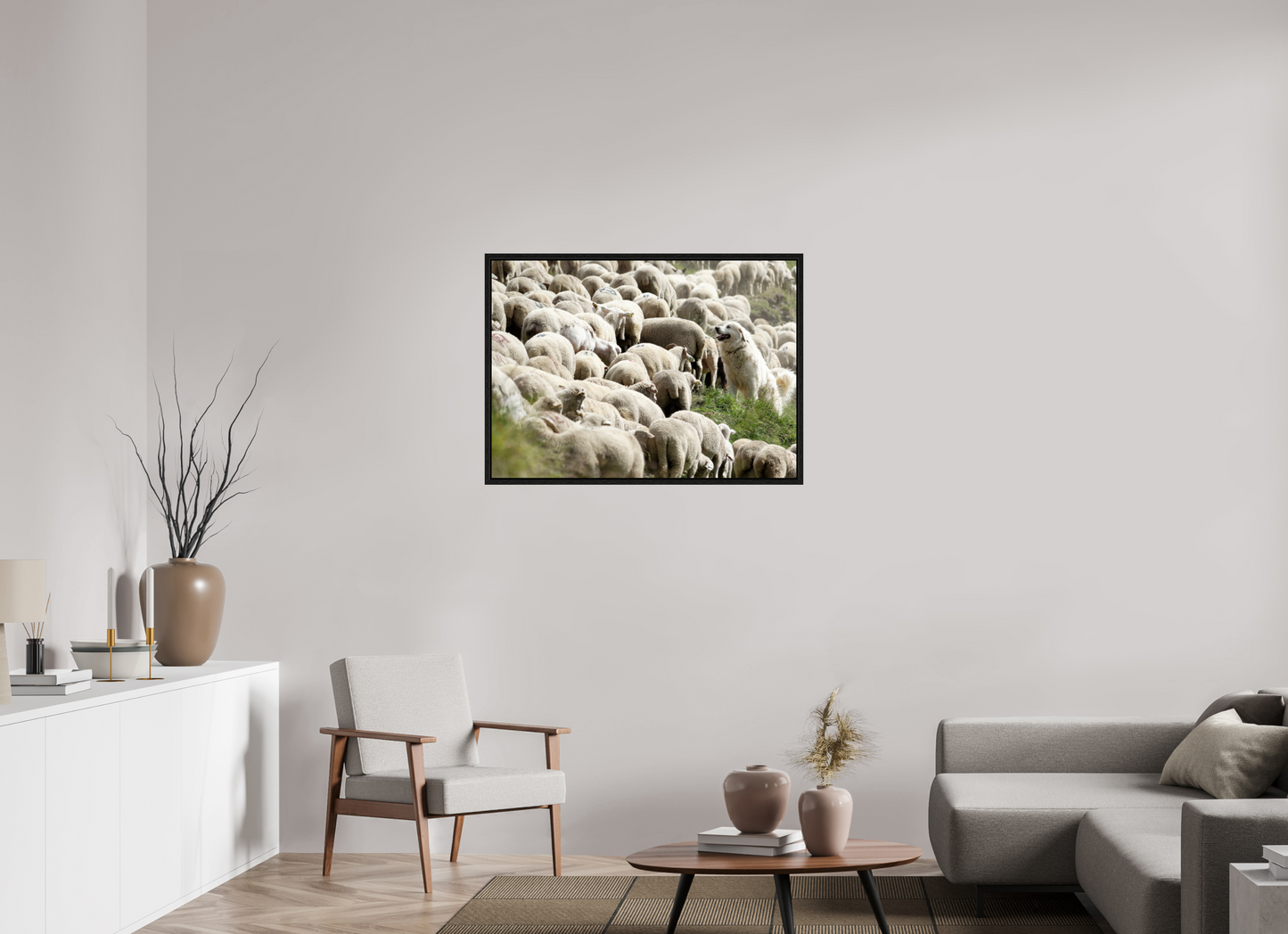 Autres animaux / Other animals