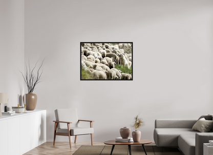 Autres animaux / Other animals