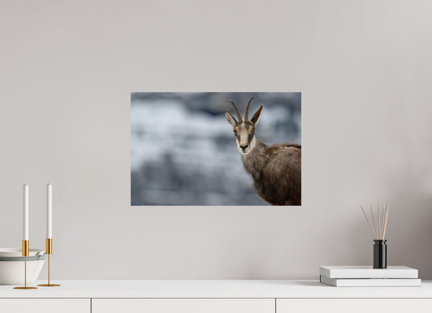 Chamois