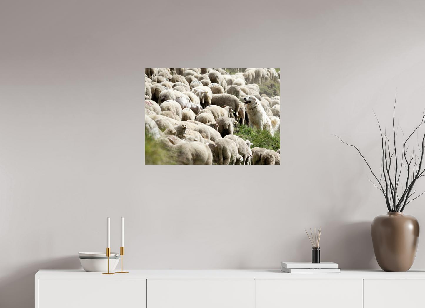 Autres animaux / Other animals