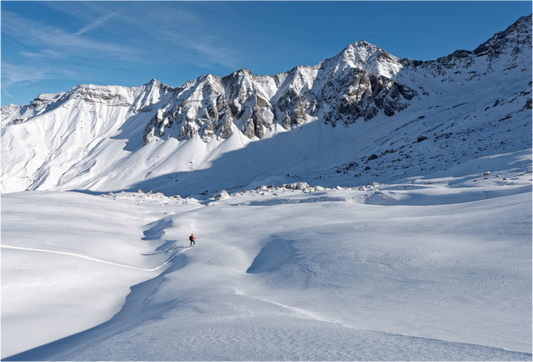 Hiver / Winter