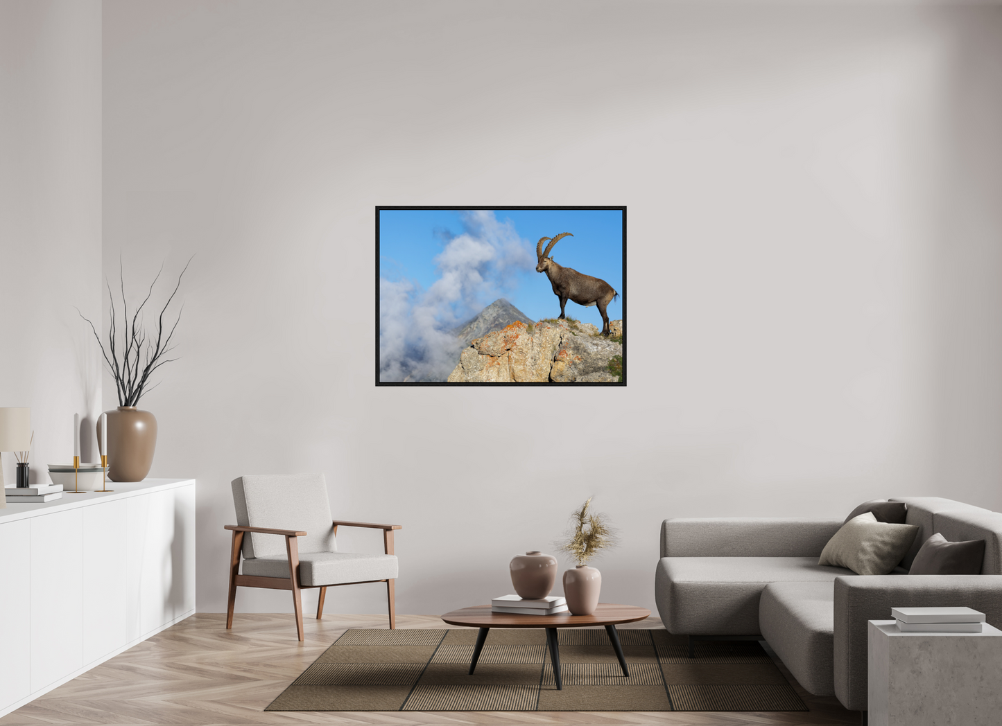 Bouquetin / Ibex