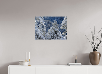 Hiver / Winter