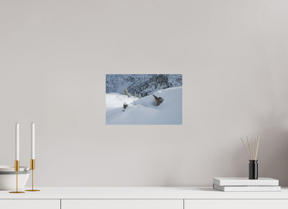 Hiver / Winter