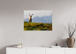 Bouquetin / Ibex