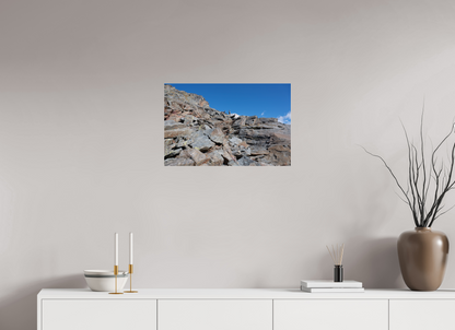 Bouquetin / Ibex