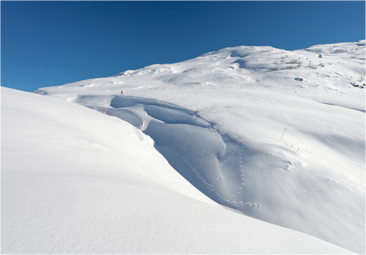 Hiver / Winter