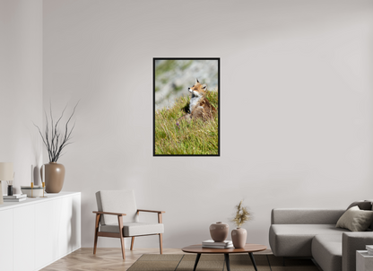 Autres animaux / Other animals