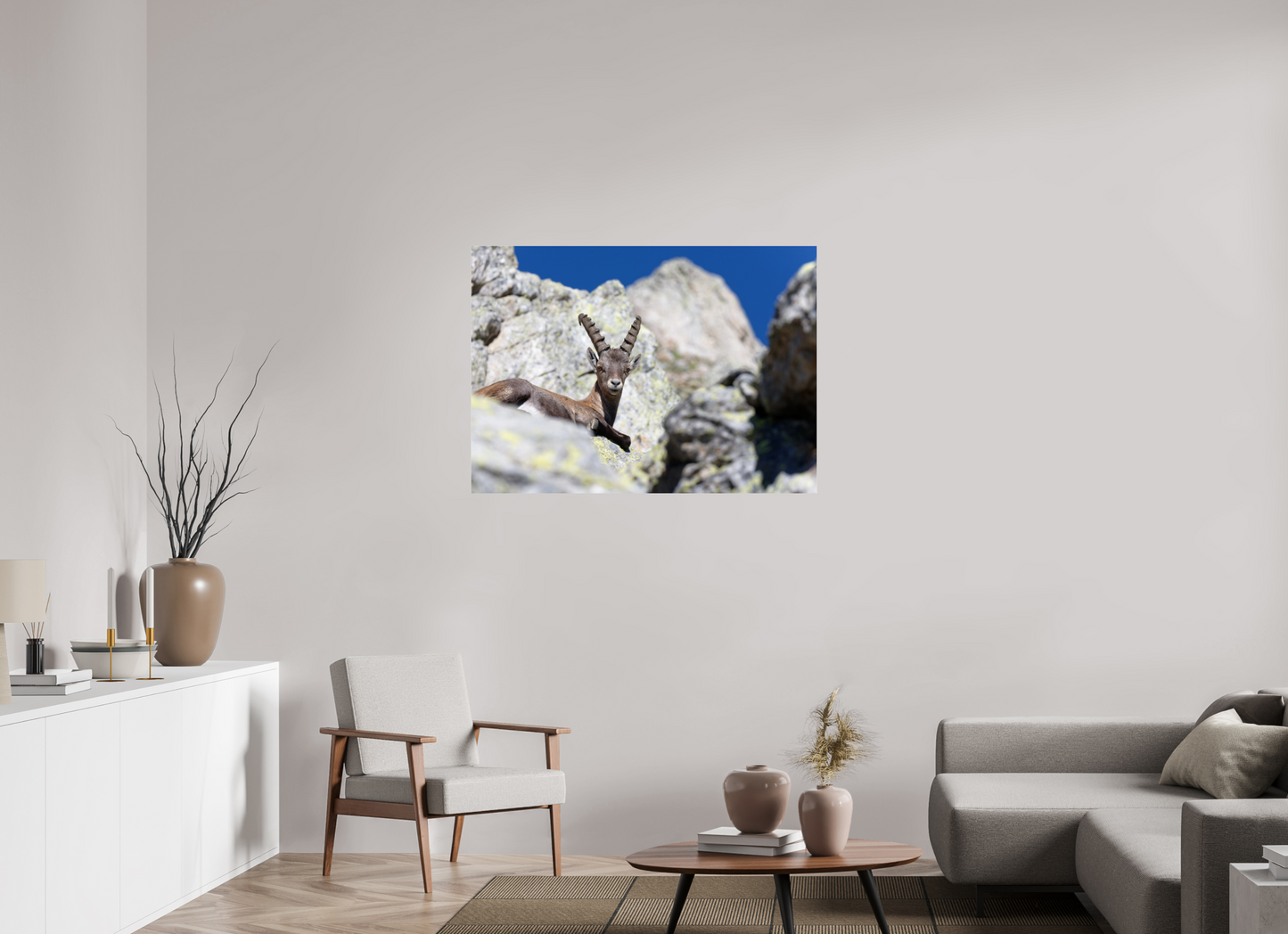 Bouquetin / Ibex