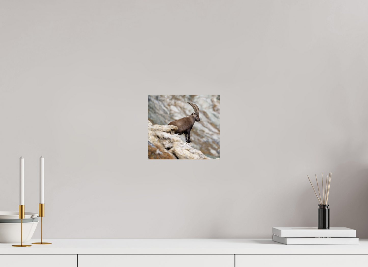 Bouquetin / Ibex