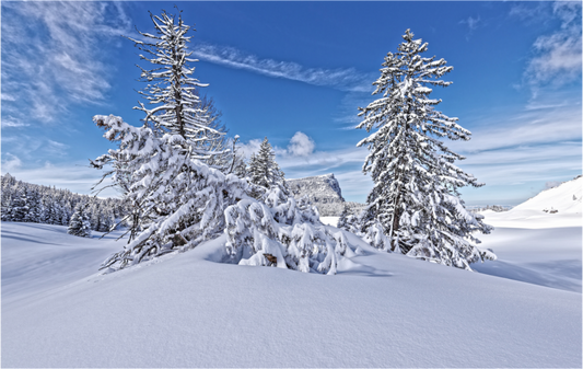 Hiver / Winter