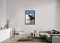 Bouquetin / Ibex