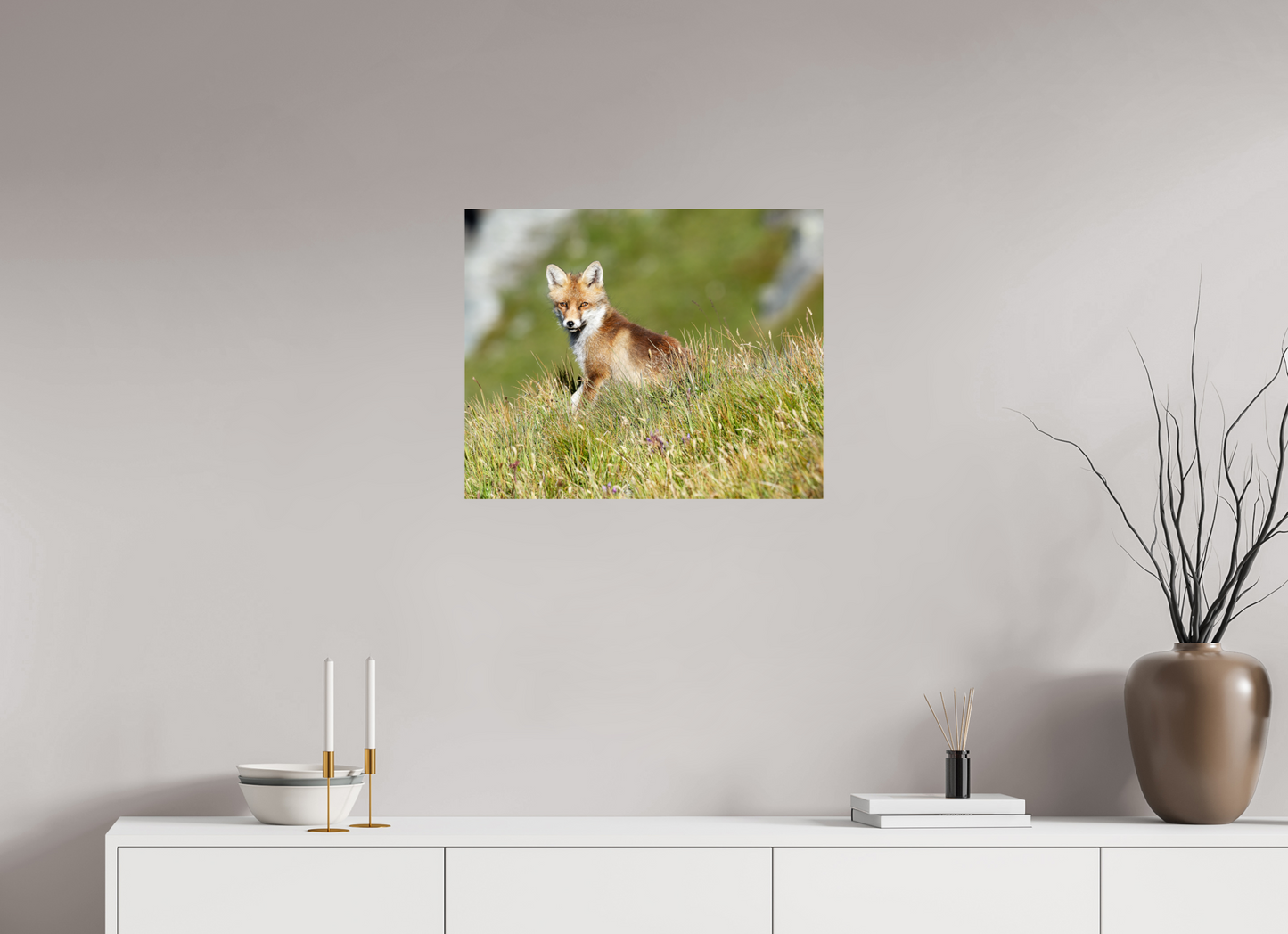 Autres animaux / Other animals