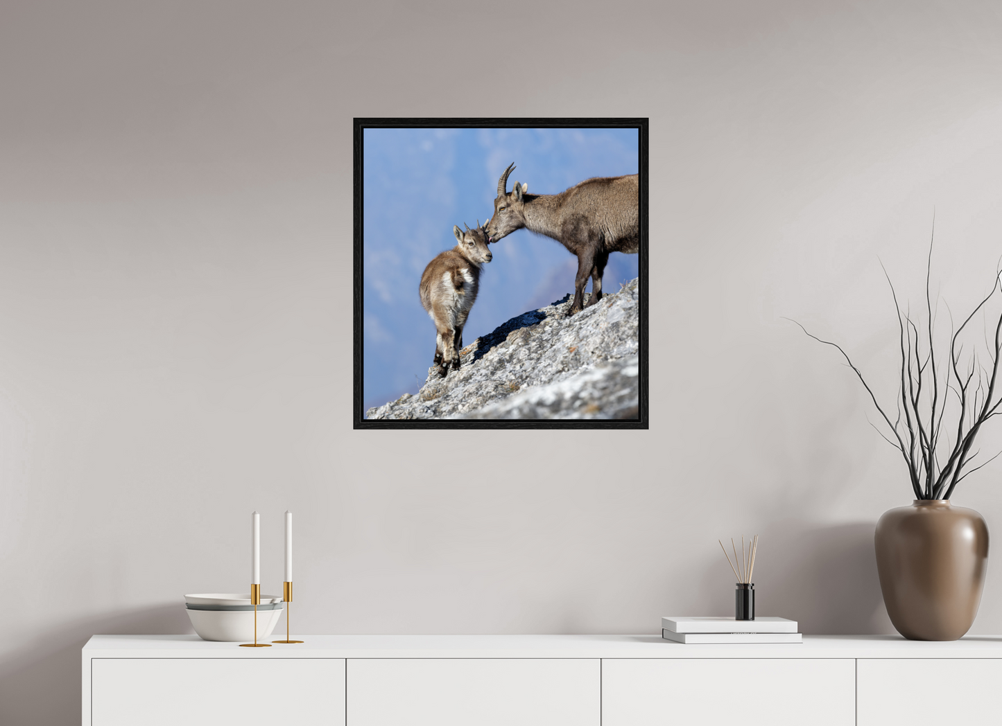 Bouquetin / Ibex