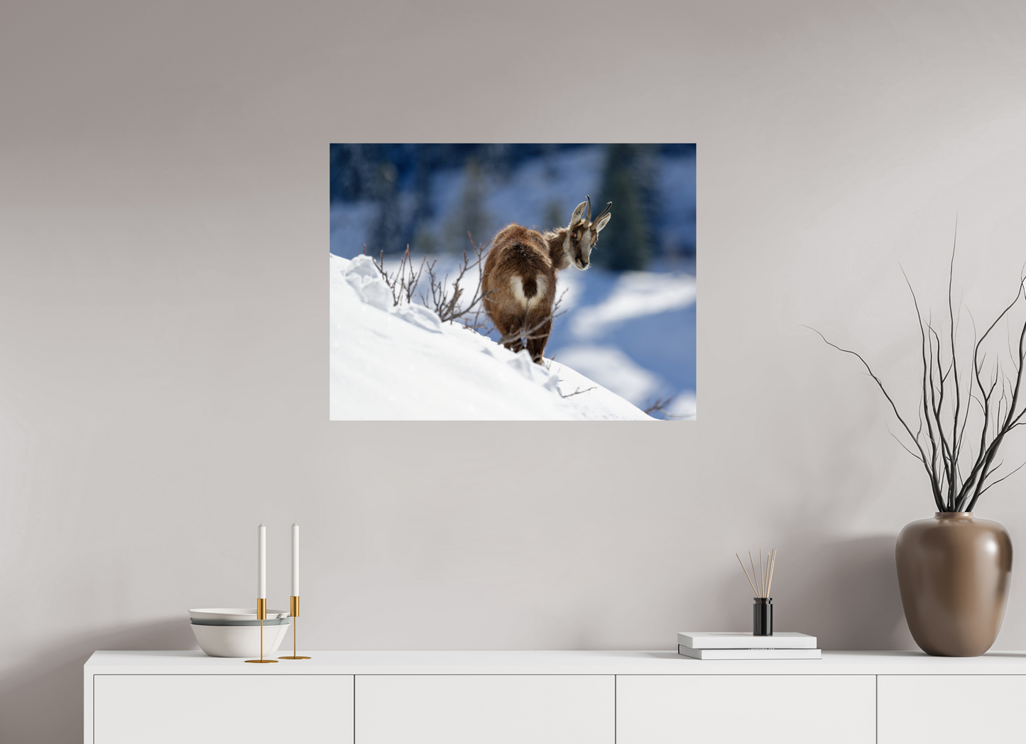 Chamois