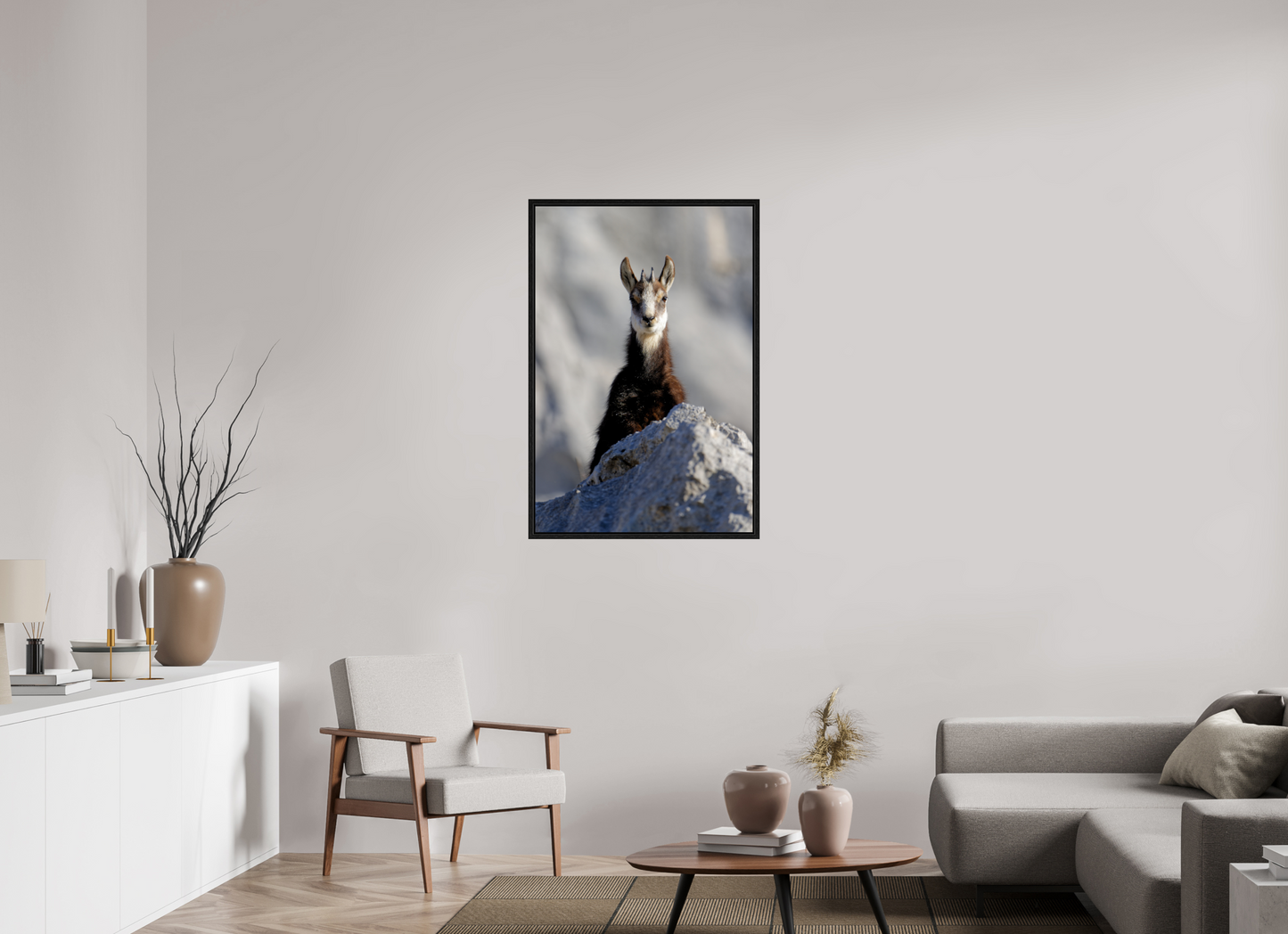 Chamois