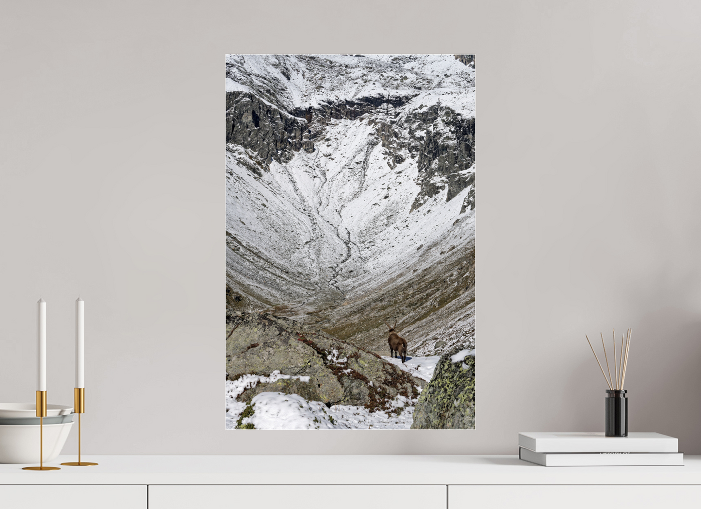 Bouquetin / Ibex
