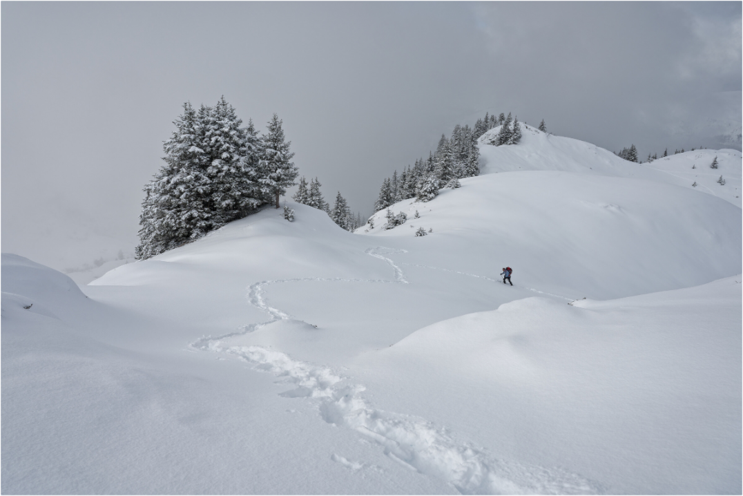 Hiver / Winter