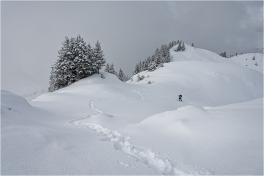 Hiver / Winter