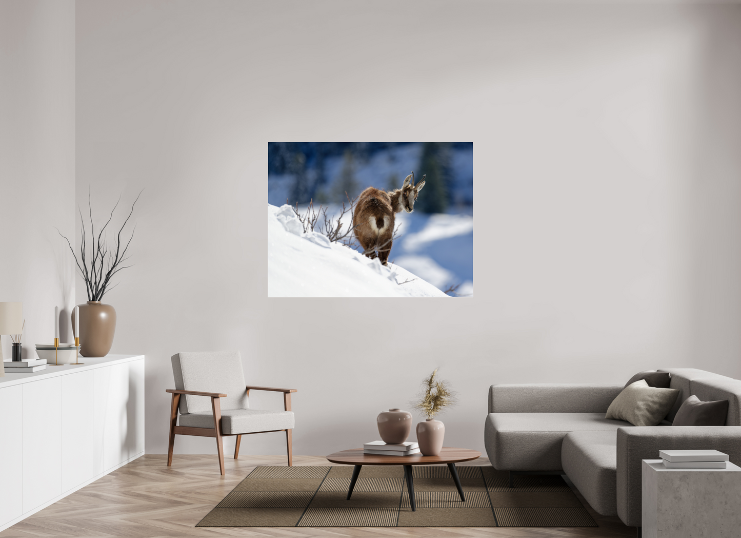 Chamois
