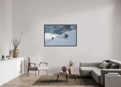 Hiver / Winter