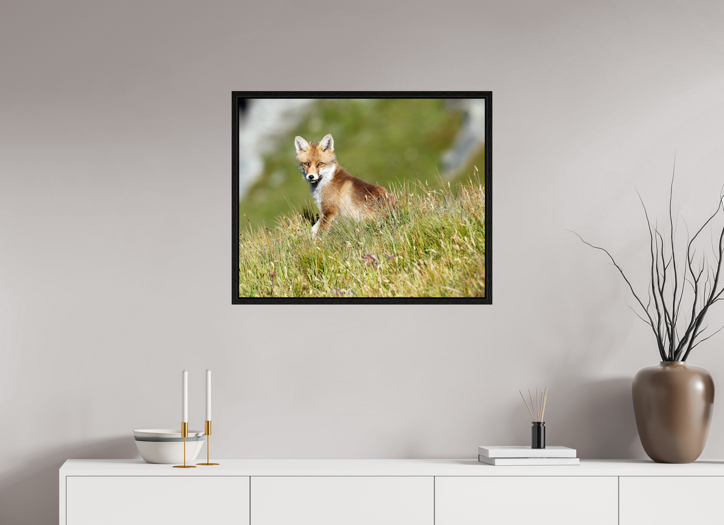 Autres animaux / Other animals