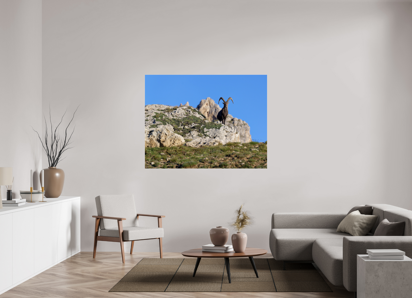 Bouquetin / Ibex