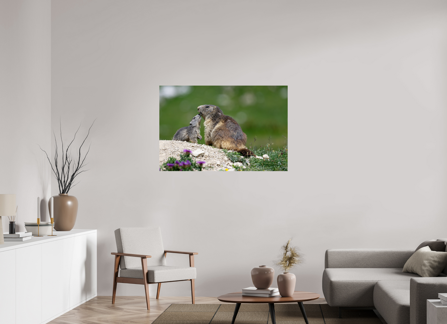 Marmotte / Groundhog