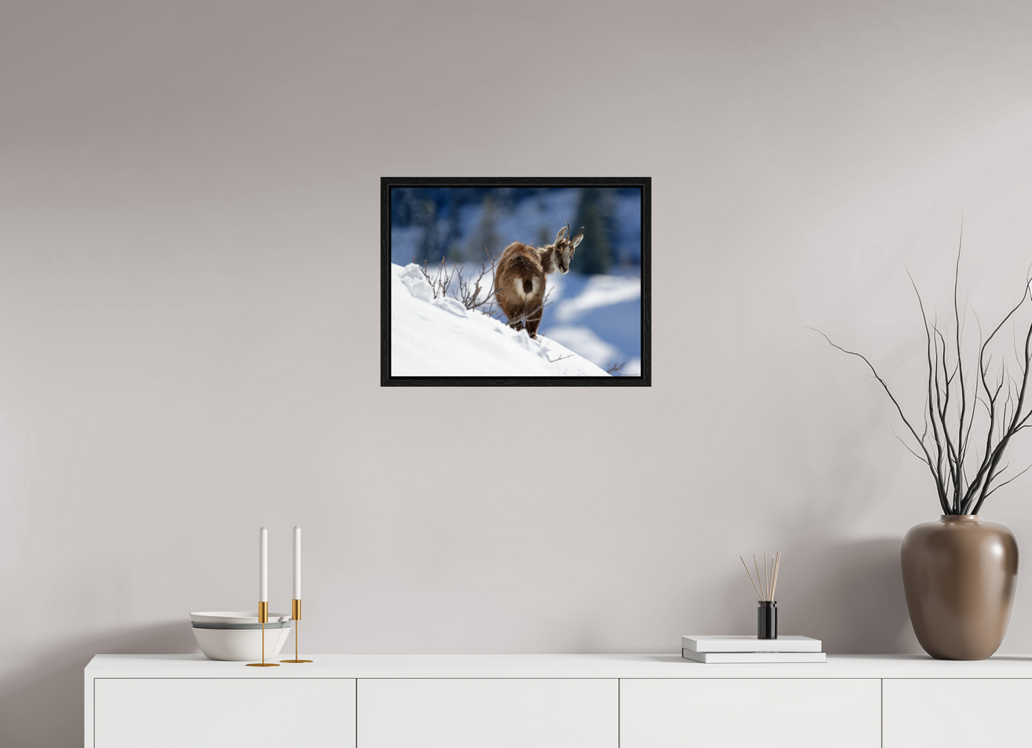 Chamois