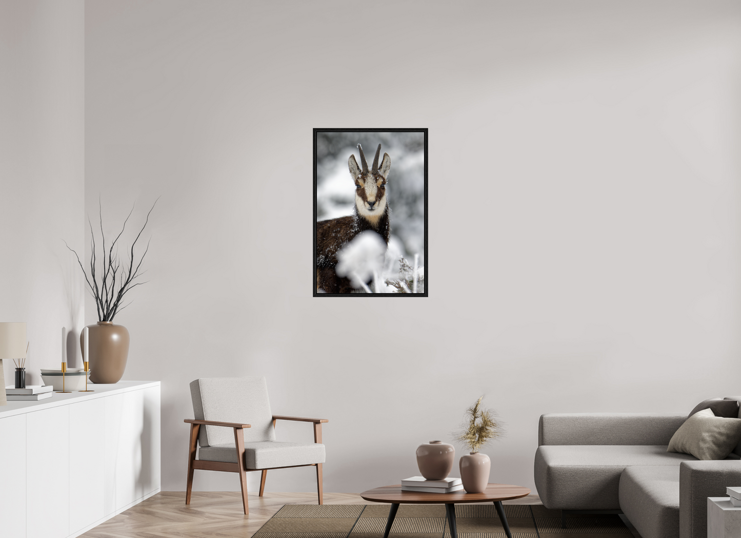 Chamois
