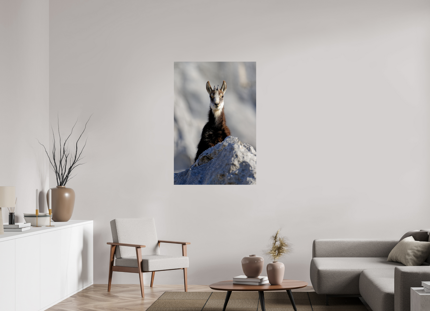 Chamois