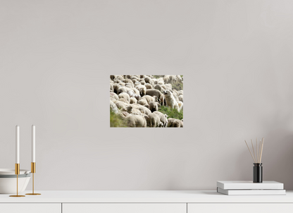 Autres animaux / Other animals