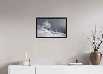 Hiver / Winter