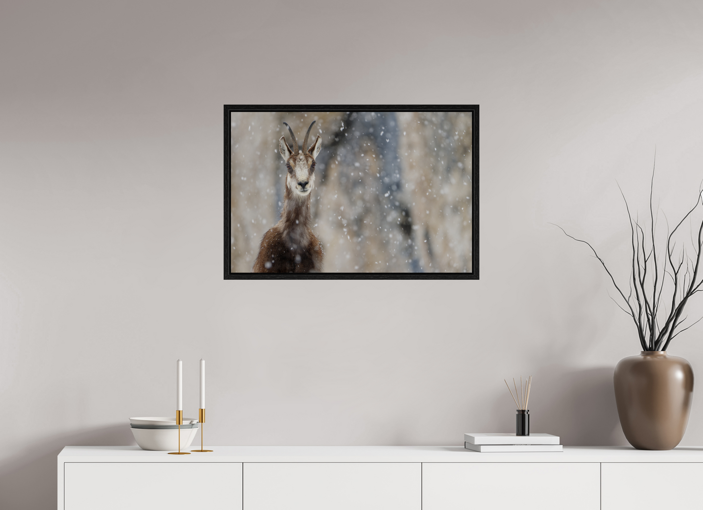 Chamois