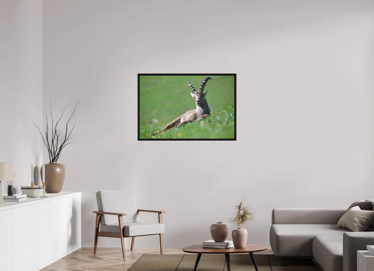 Bouquetin / Ibex