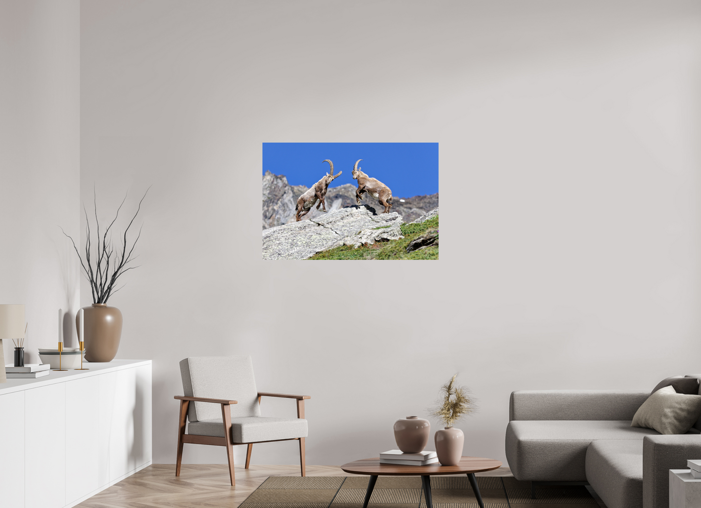 Bouquetin / Ibex