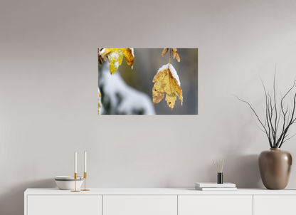 Automne / Autumn
