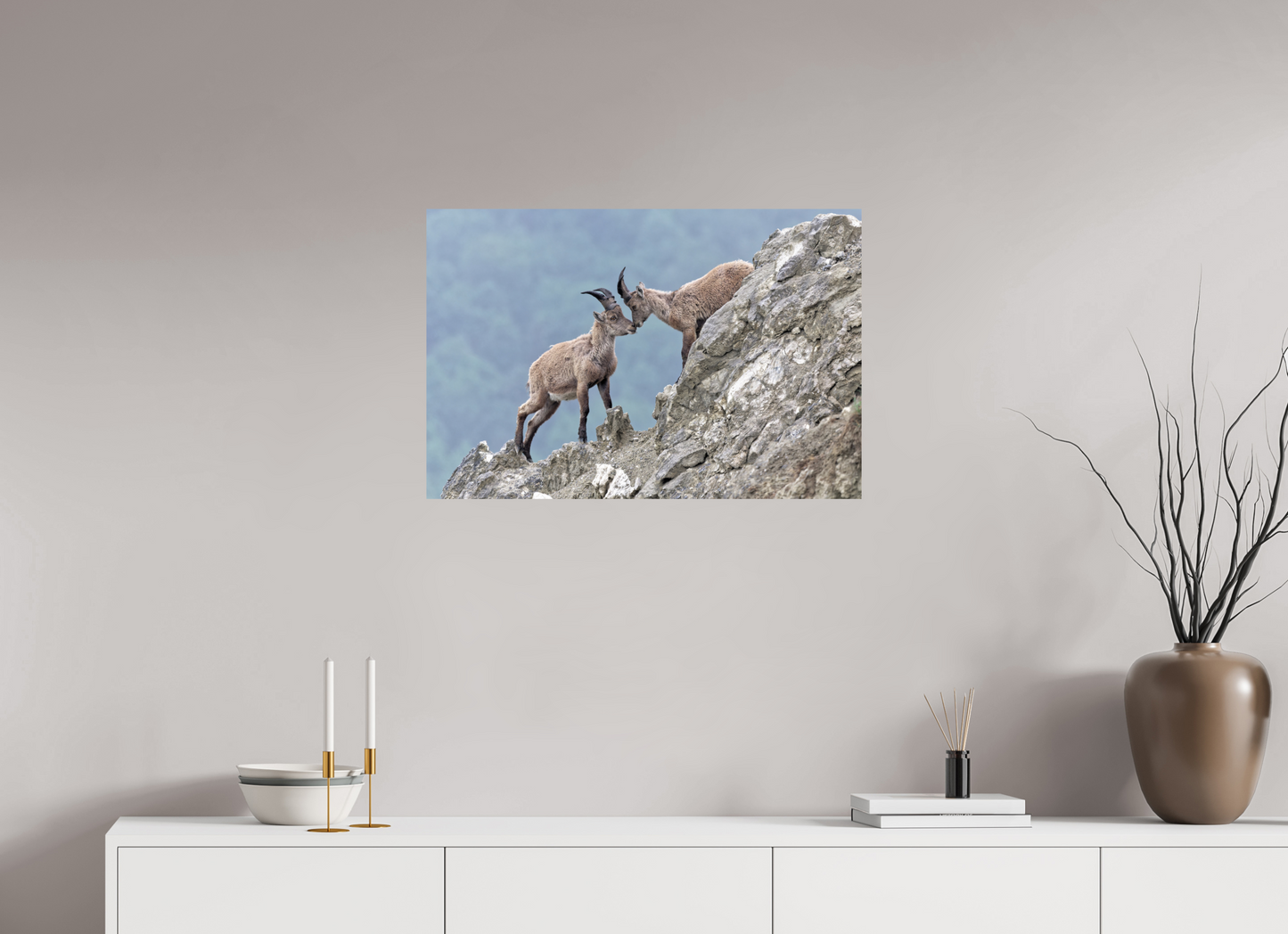 Bouquetin / Ibex