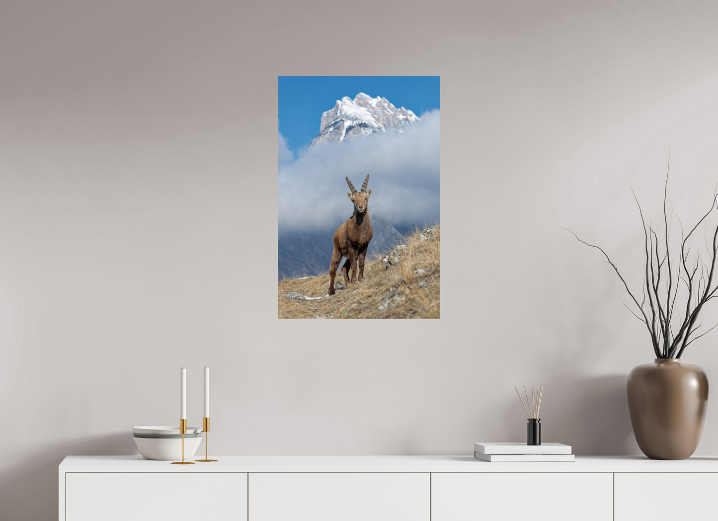 Bouquetin / Ibex
