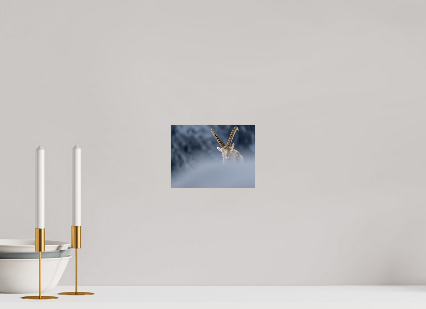 Bouquetin / Ibex